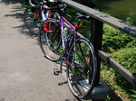 100809c.jpg