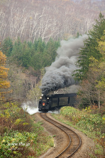 141101b.jpg