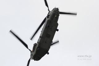 riat15_068.jpg
