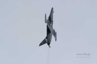 riat15_071.jpg